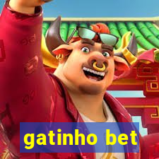 gatinho bet